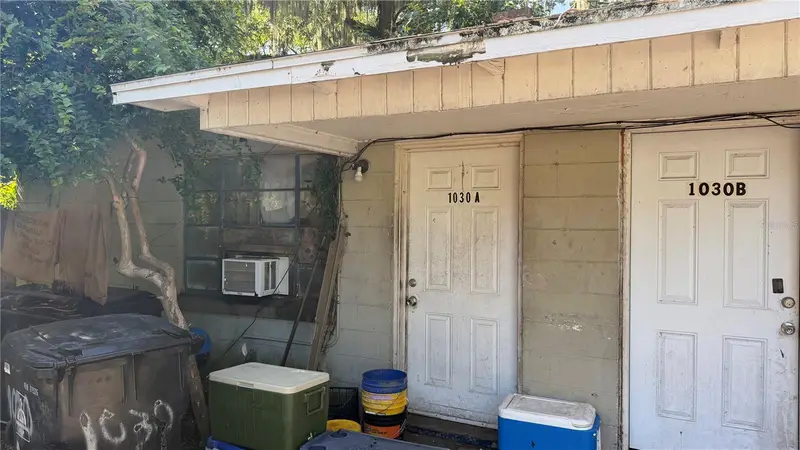 1028 W Livingston St, FL