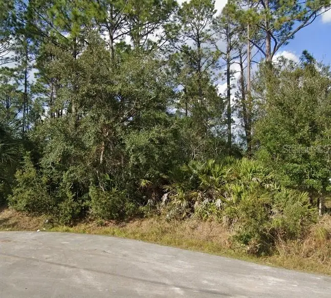 16 Sleeping Beauty Pl, FL