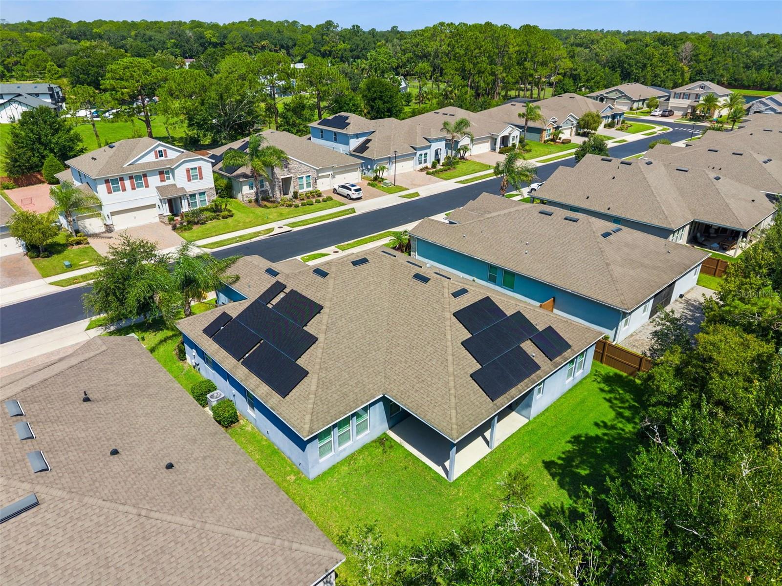 1239 Grass Fern Ln, FL