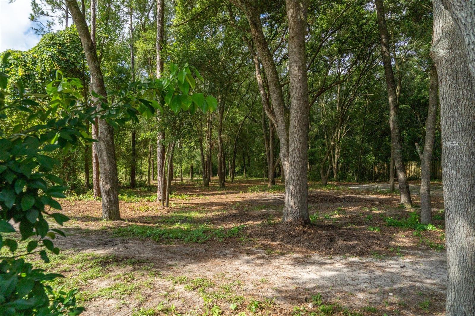 40 Deer Trail Cir, FL