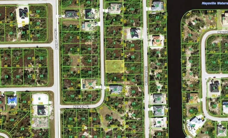 10114 Audrey St, FL