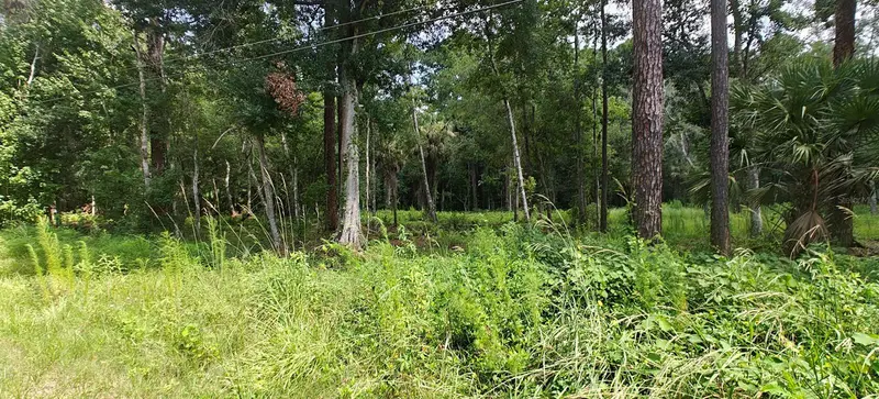 8401 Amelia Trl, FL