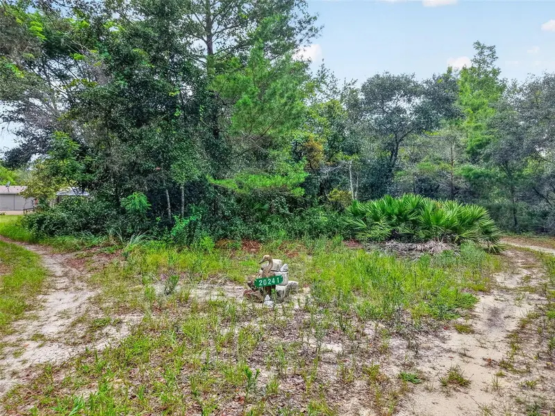 20241 Saltsdale Rd, FL