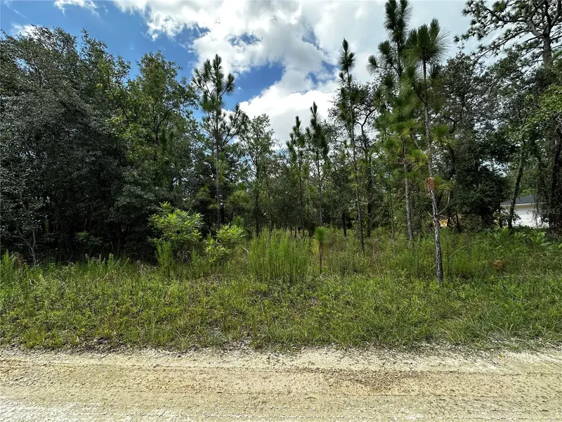Tbd Ne 15th Ln, FL