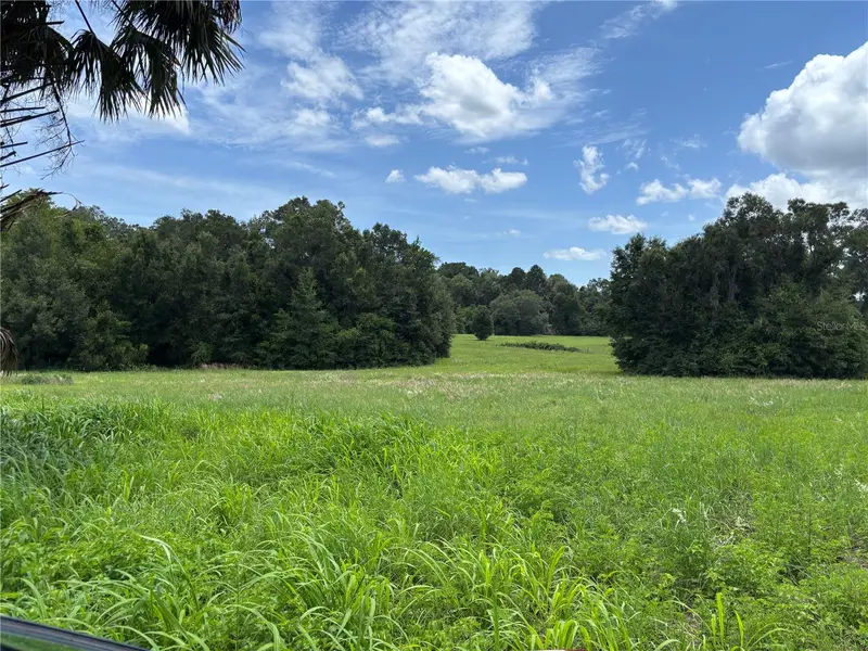Ne 23, FL