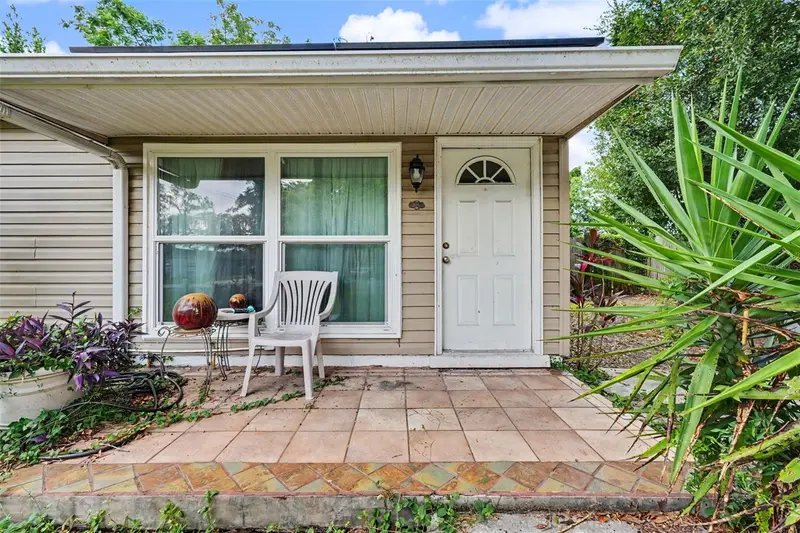 308 E Althea Ave, FL