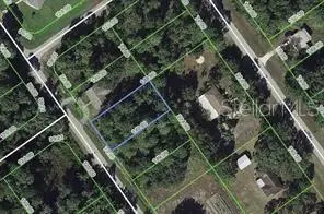 445 Pershing Ave, FL