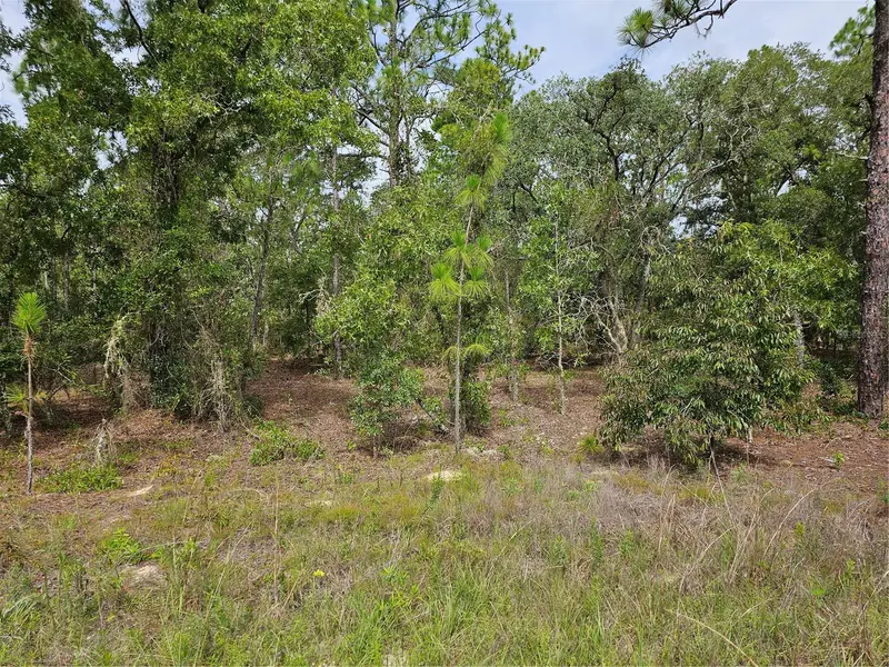 00 Sw 122 Ave, FL