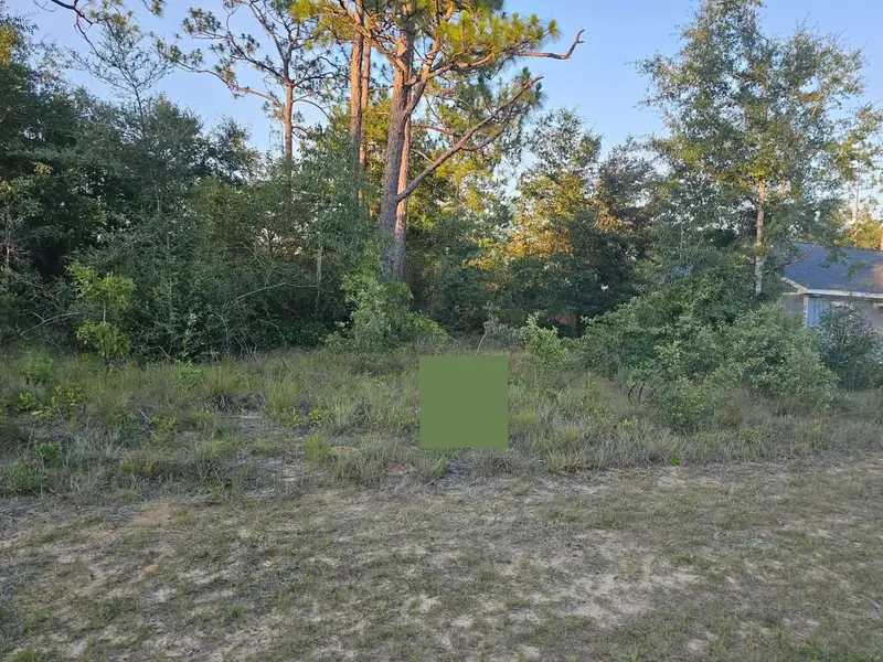 Lot 12 Shenandoah Blvd, FL