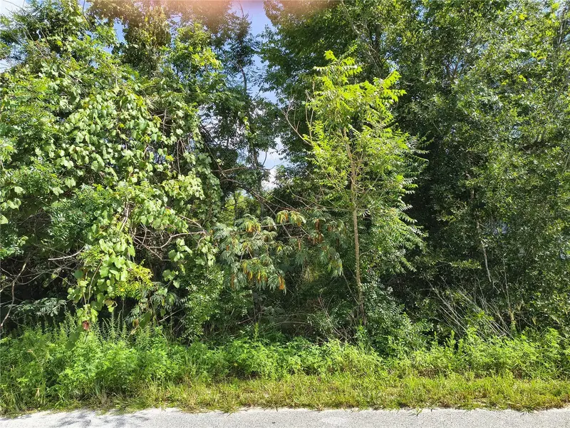 Tbd Nw 6th Pl, FL