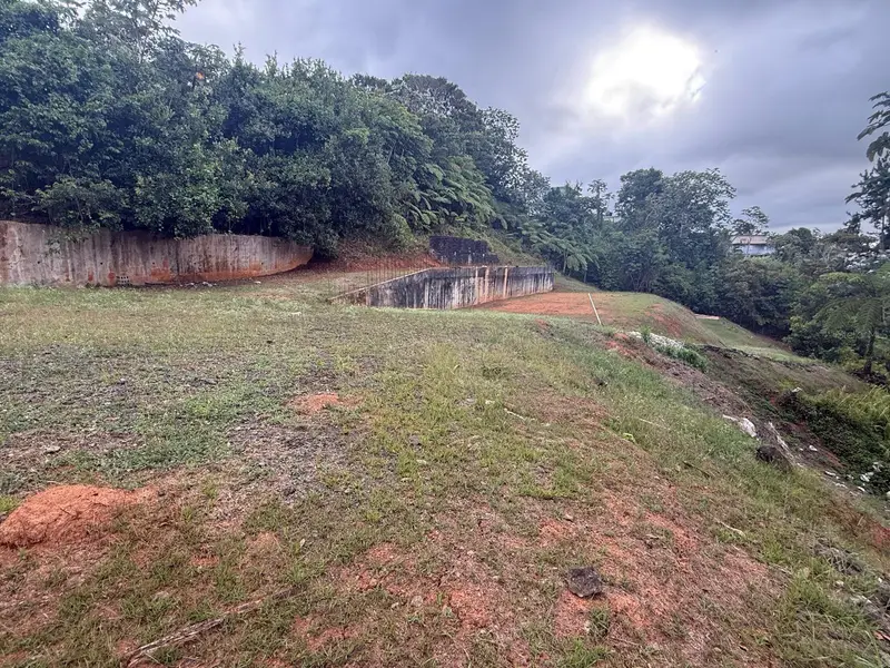 Bo Cedro Arriba Carr 809, Km 2 Hm 2 Interior, Nar, PR
