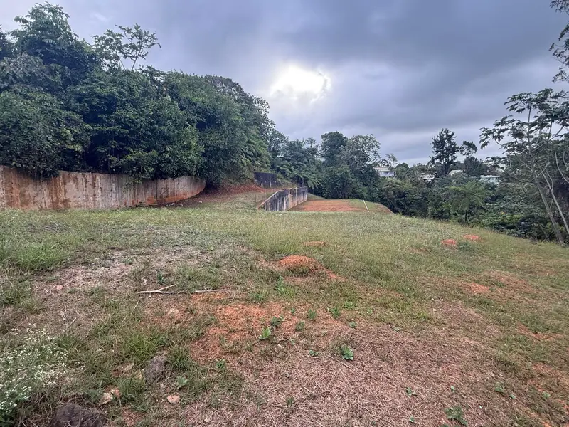 Bo Cedro Arriba Carr 809, Km 2  Hm 2 Interior, Nar, PR