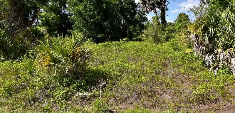 Roth St, FL
