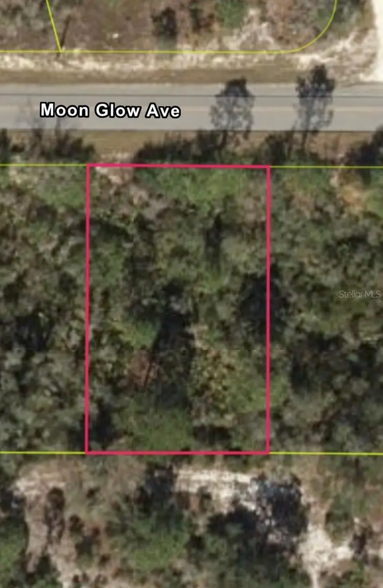 309 Moon Glow Ave, FL