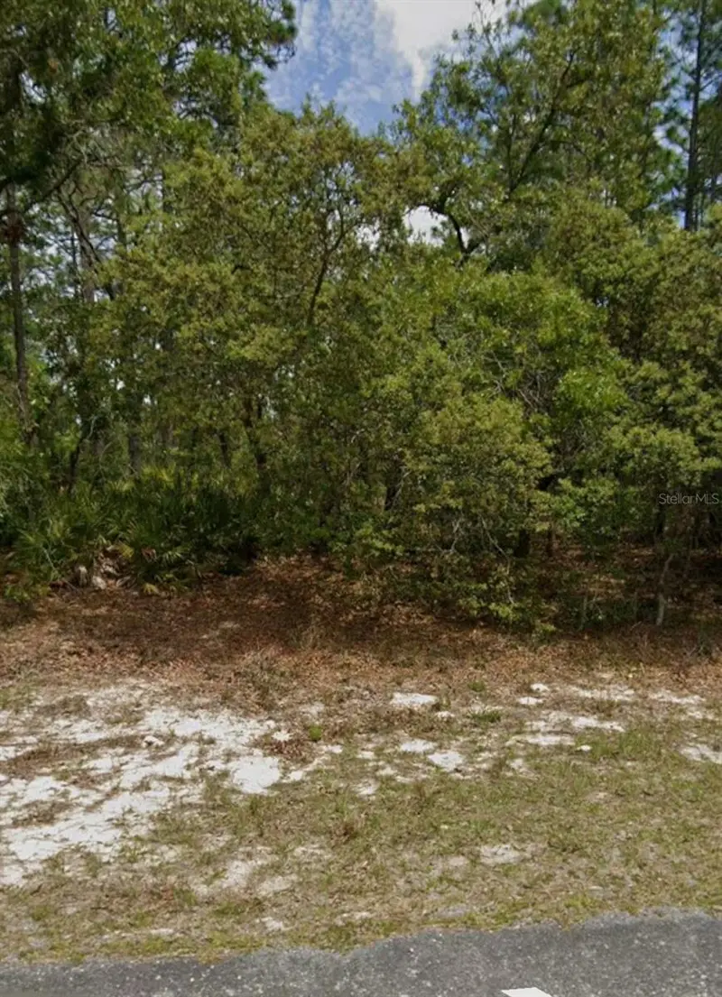 5732 N Summerfield Pt, FL