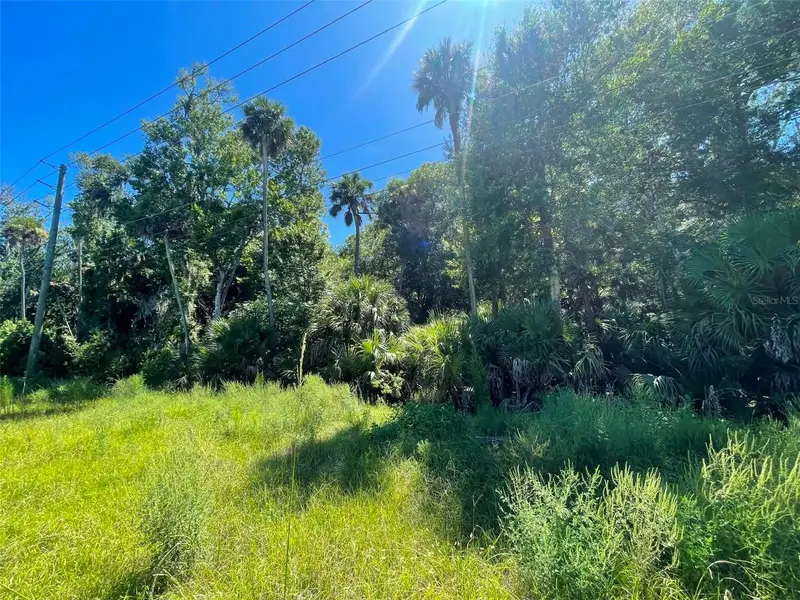 Old Mission Rd, FL