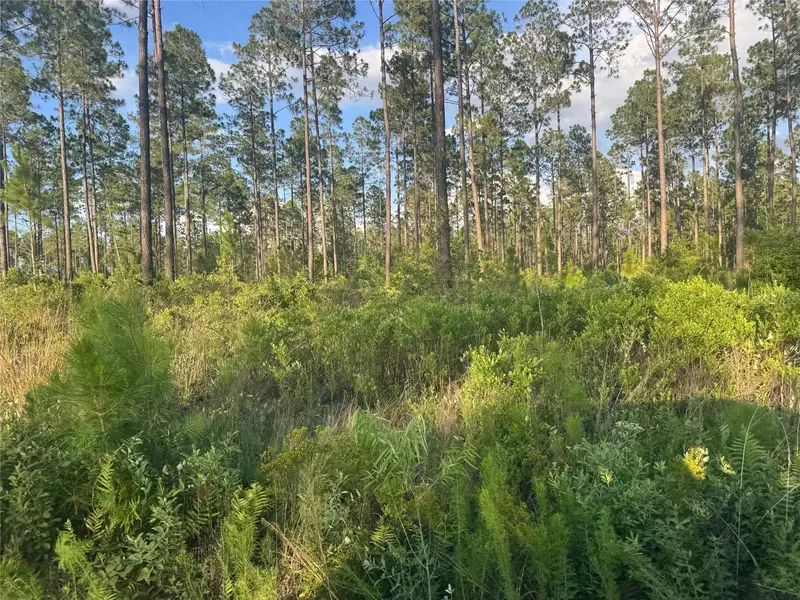 Tbd Nw Cr 235, FL