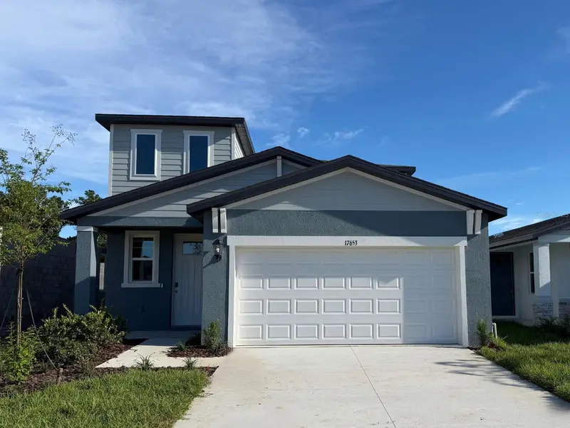 17653 Olive Thorn Dr, FL
