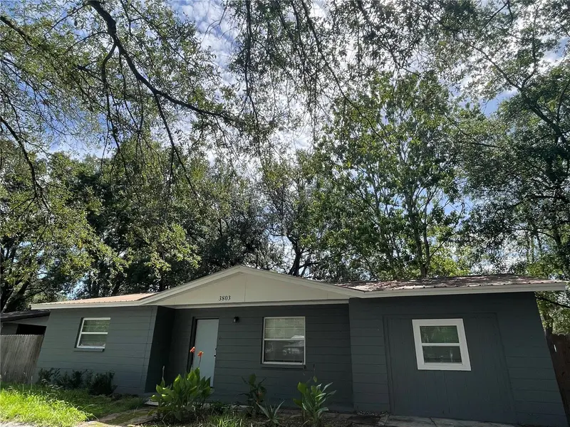 3803 Ne 13th St, FL