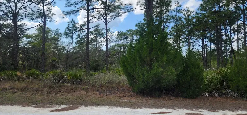 18119 Parrot Rd, FL