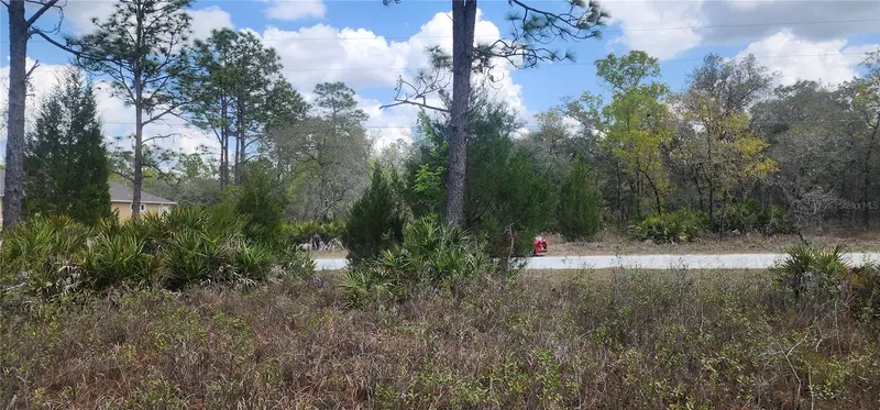 18119 Parrot Rd, FL