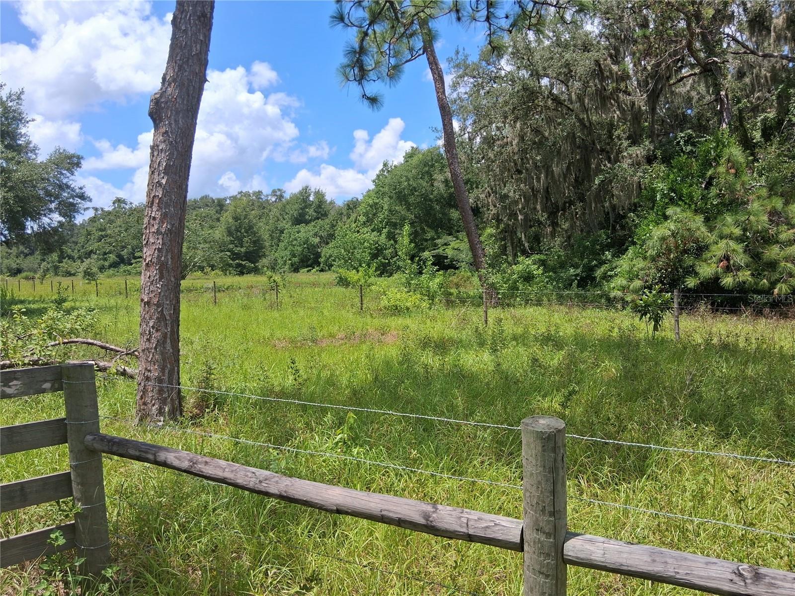 409 County Road 542e, FL