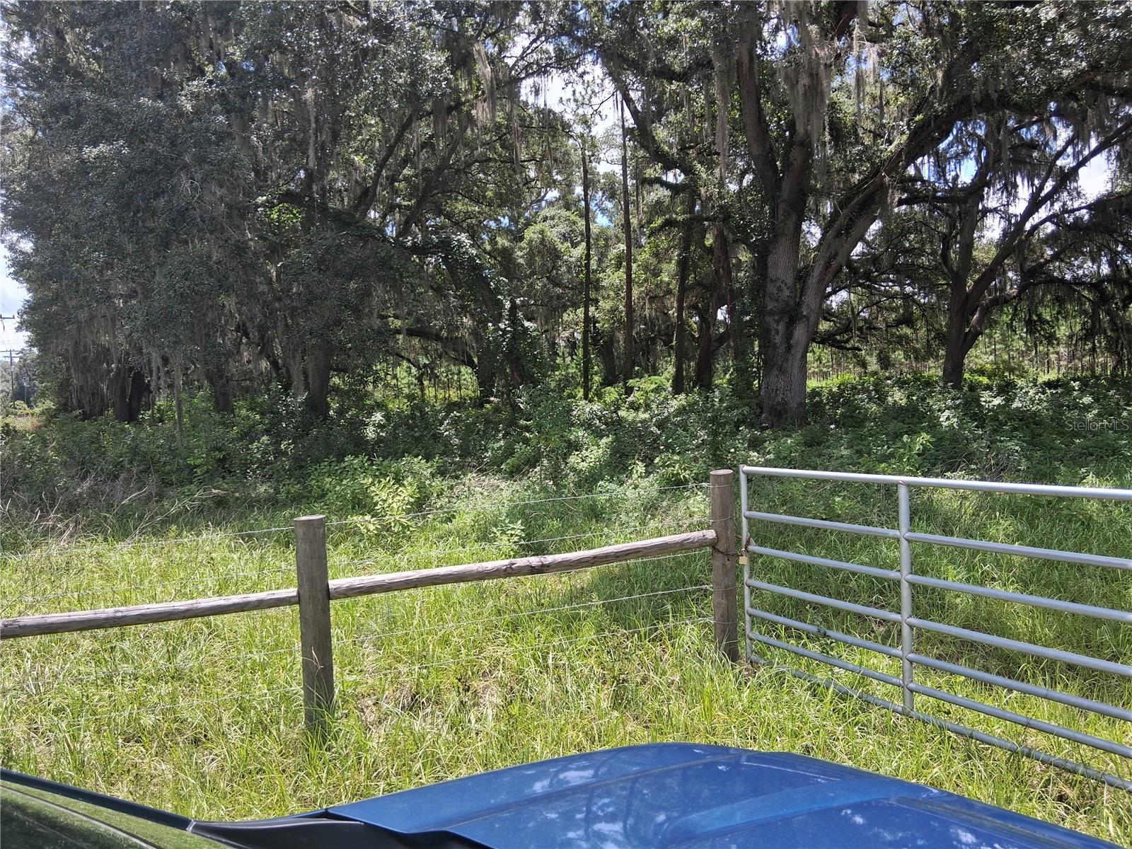 409 County Road 542e, FL