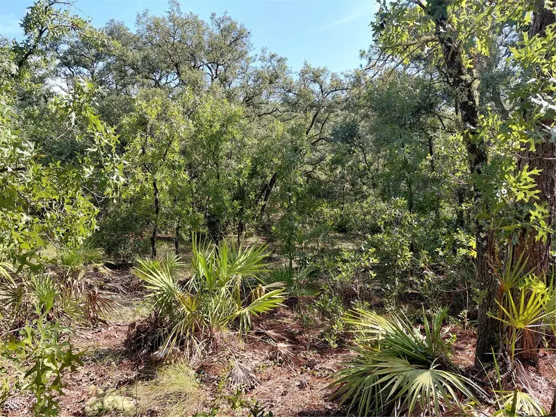 Wheystone Dr, FL