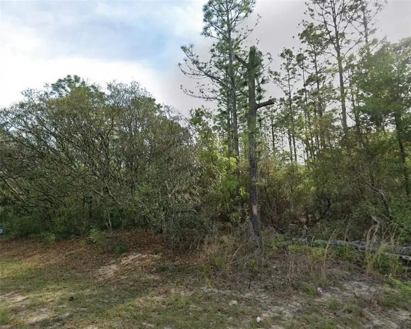 7745 N Maltese Dr, FL