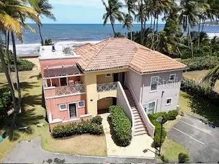 Candelero Drive Palmas Doradas #519, PR