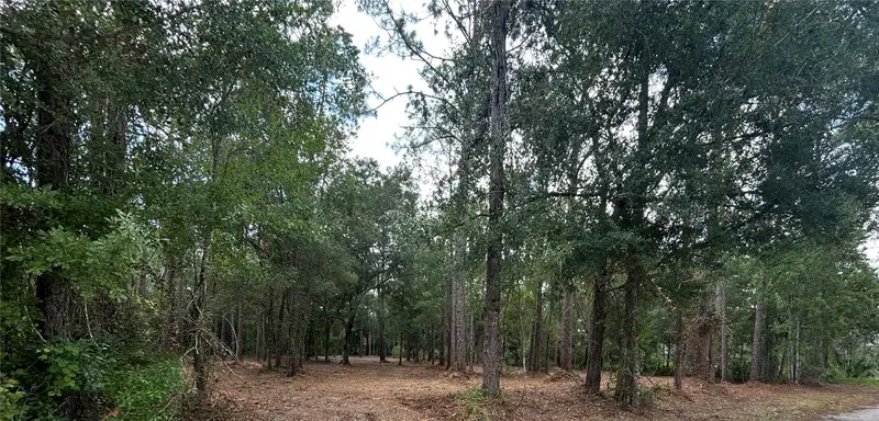 Westpoint Dr, FL