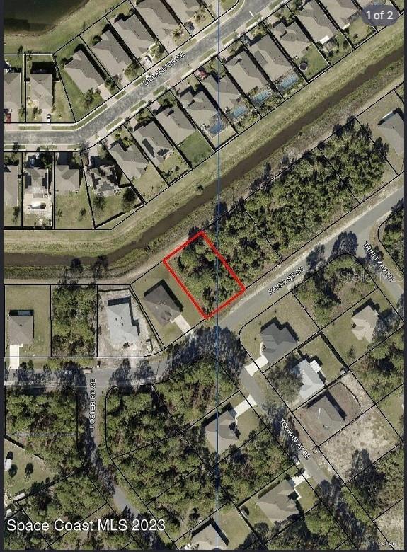 615 Paigo St Se, FL