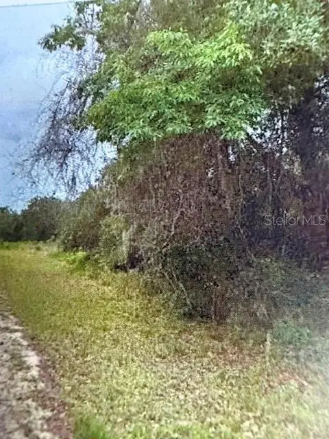 Walton, FL