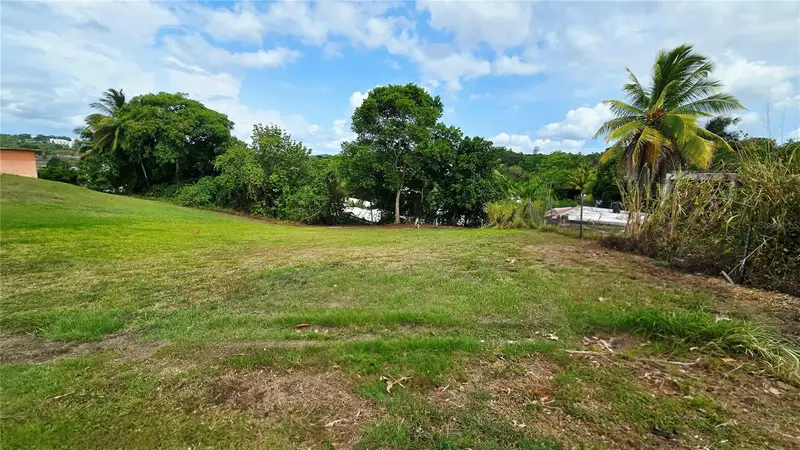Casimiro Villegas St. Los Frailes, PR