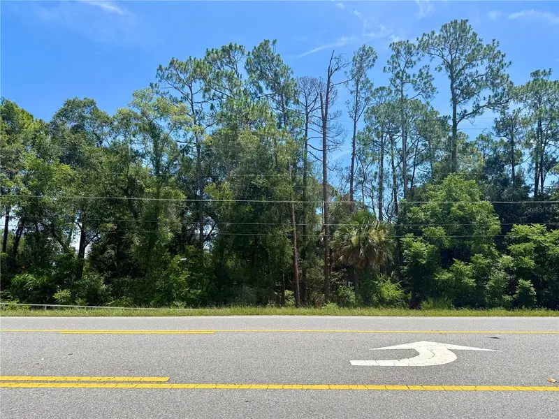 Lot 13 State Road 44, FL