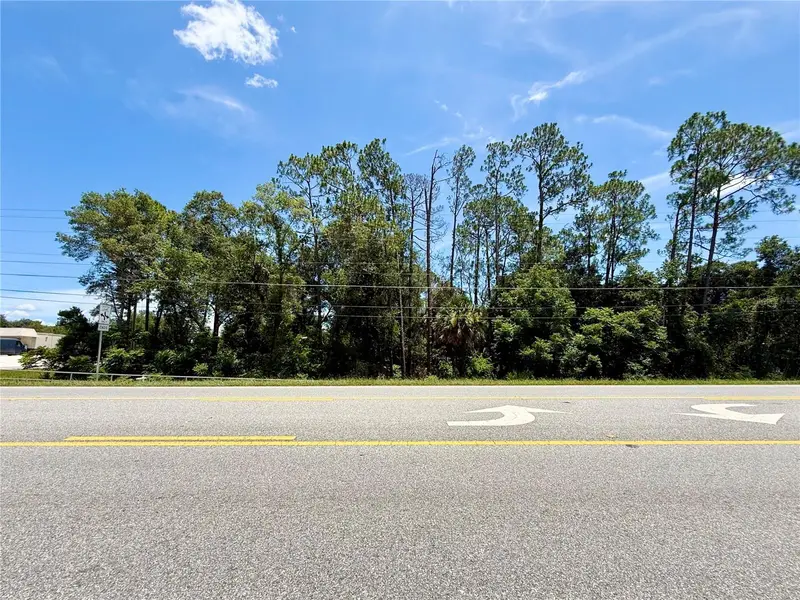 Lot 13 State Road 44, FL