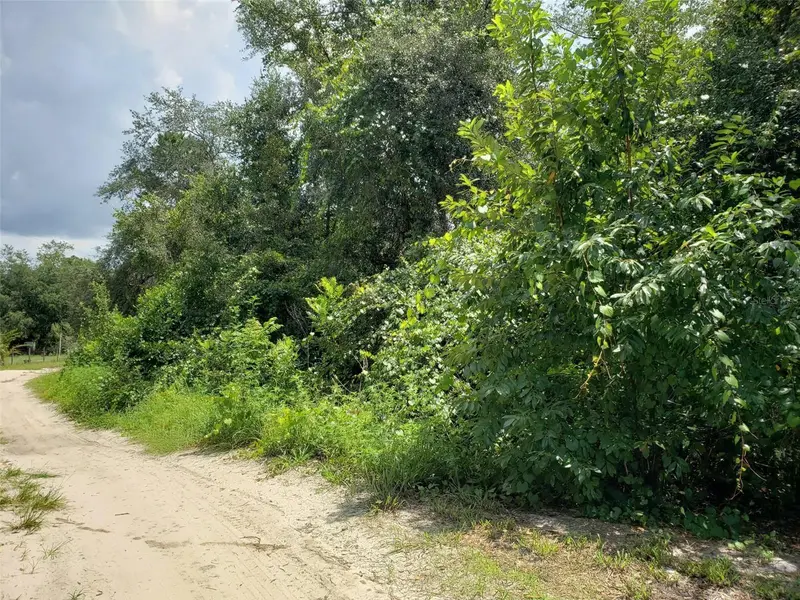 Pine Valley Dr, FL