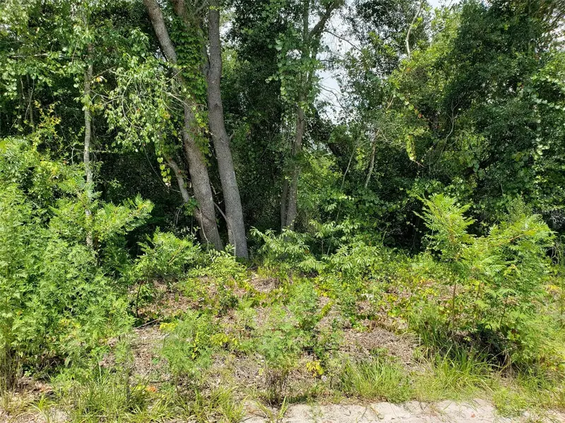 Pine Valley Dr, FL