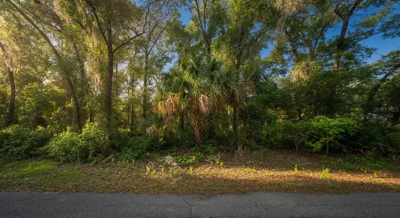 282 N Savary Ave, FL