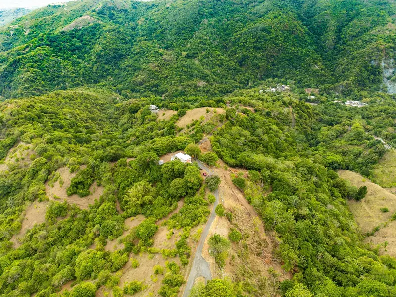 Tabonuco Ward Sr 365 Km 6.4 Int, PR