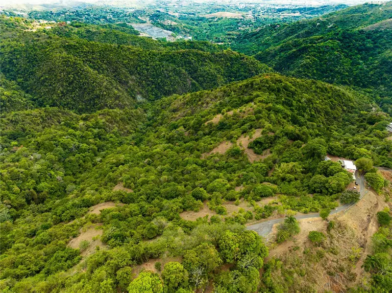 Tabonuco Ward Sr 365 Km 6.4 Int, PR