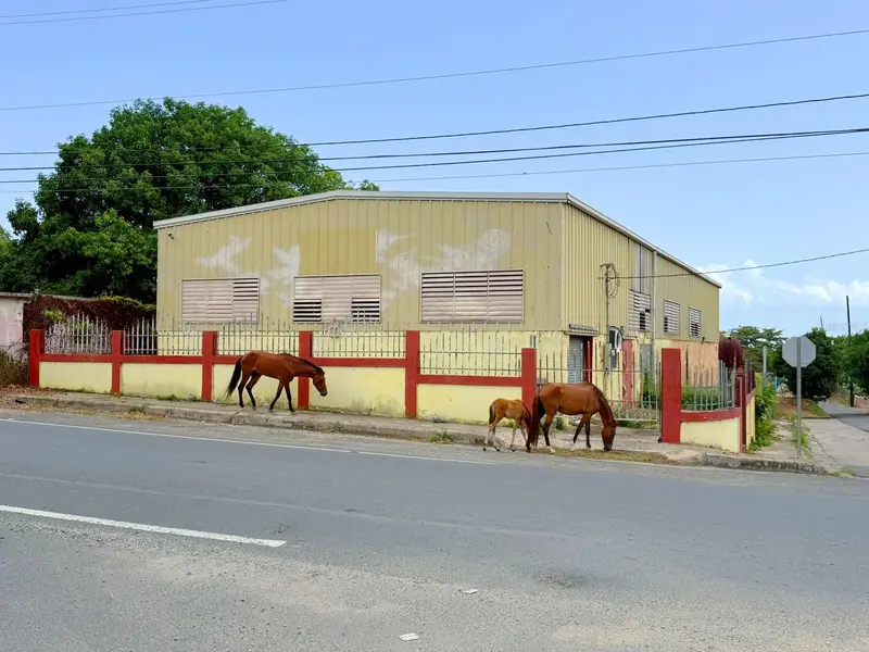 Km 1.6 Route 200, PR