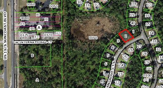 4 Mangrove Ct S, FL