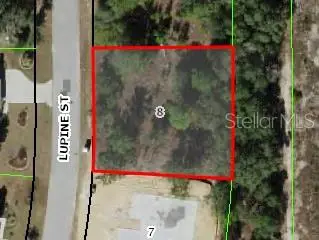 16 Lupine St, FL