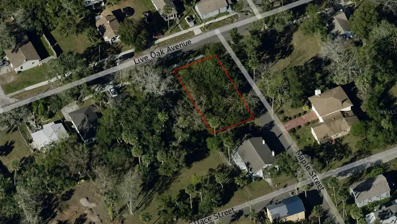 547 Live Oak Ave, FL
