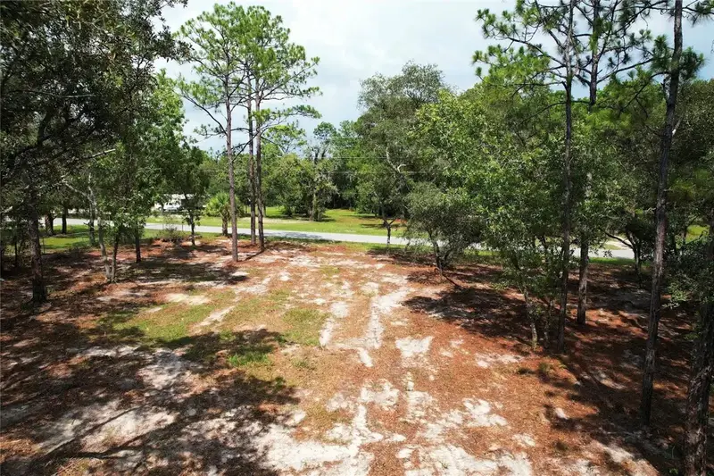 4546 S Evergreen Ave, FL