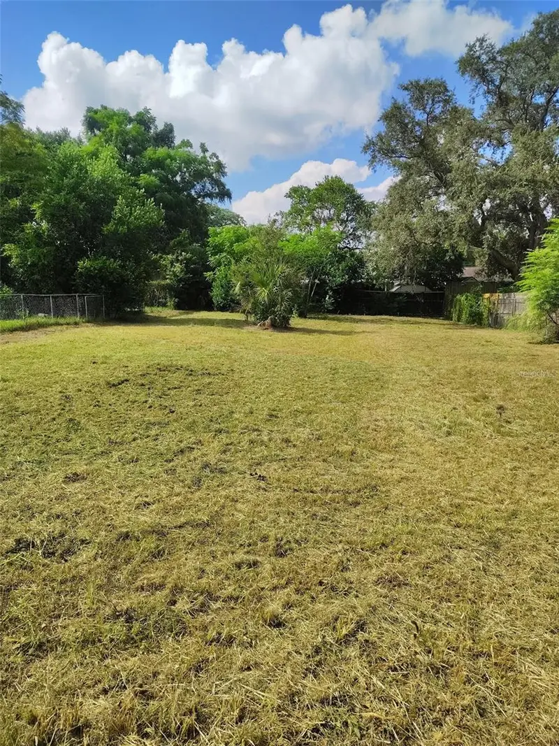 0 E Linebaugh Ave, FL