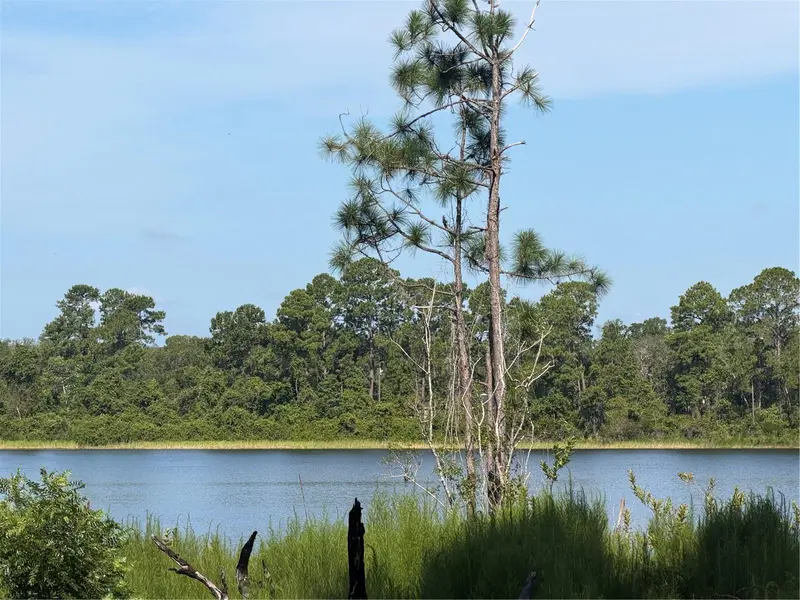 Tbd Malauka Radl, FL