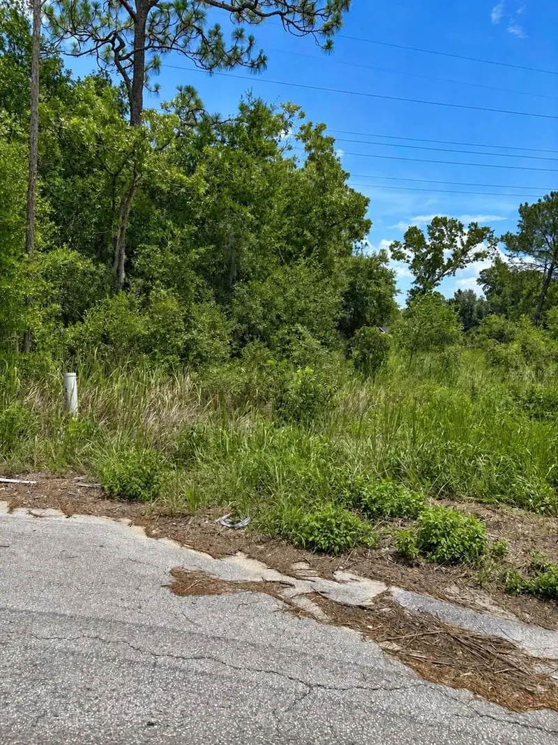 Water Track Lot 08, FL