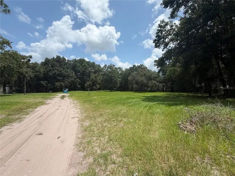 Helen Ave, FL